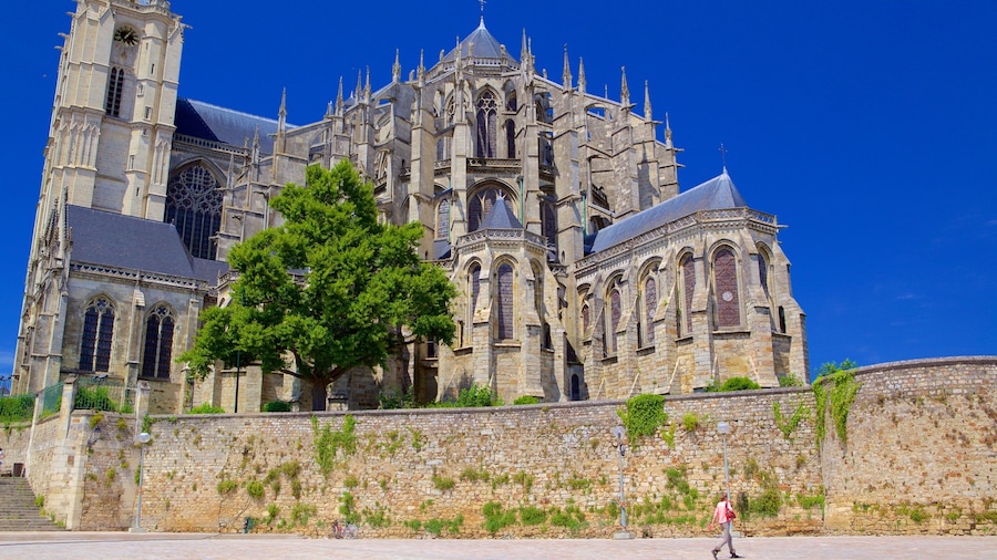 Le Mans showing heritage elements, a church or cathedral and heritage architecture