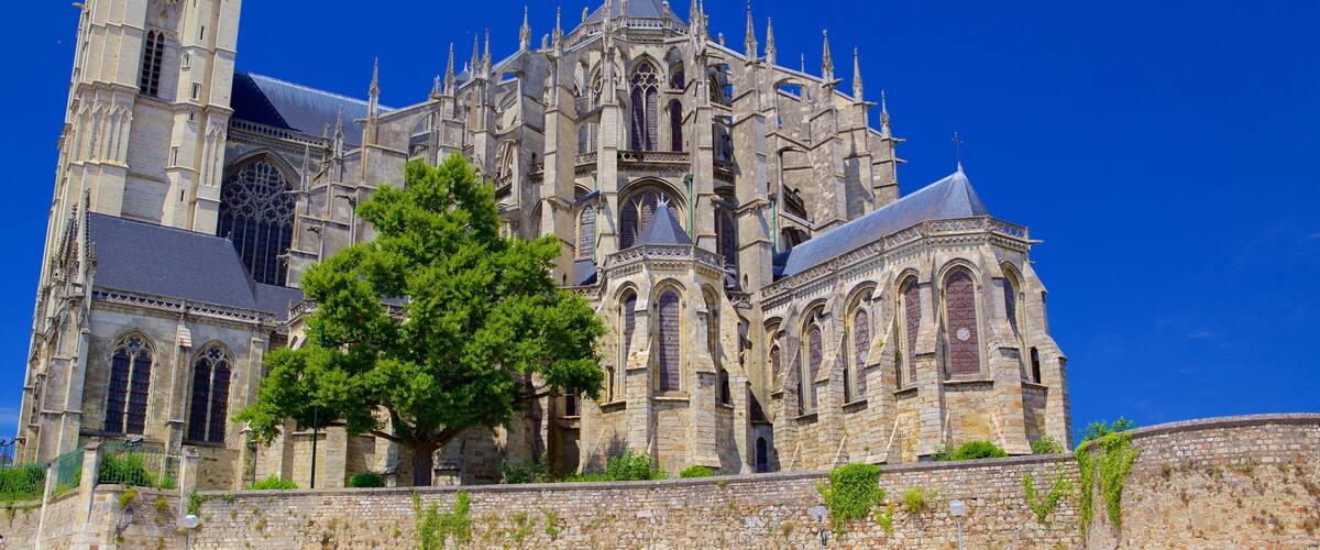 A historic cathedral with intricate Gothic architecture, a prominent clock tower, and a large tree in the foreground.
