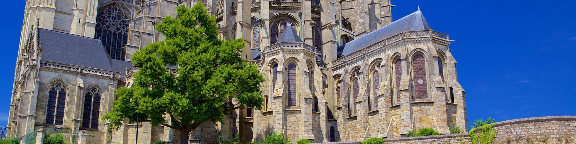 A historic cathedral with intricate Gothic architecture, a prominent clock tower, and a large tree in the foreground.