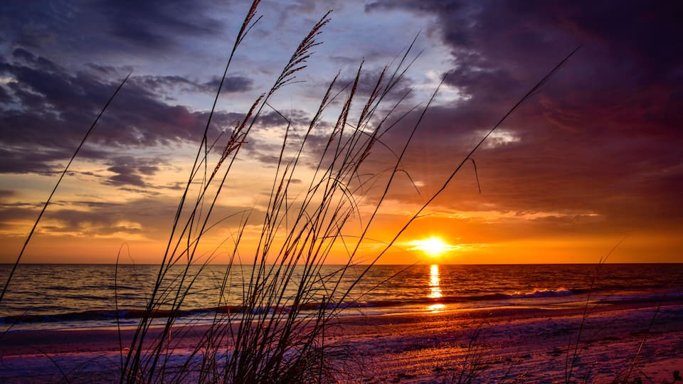 A sunset over the ocean with waves, grasses, and a cloudy sky.