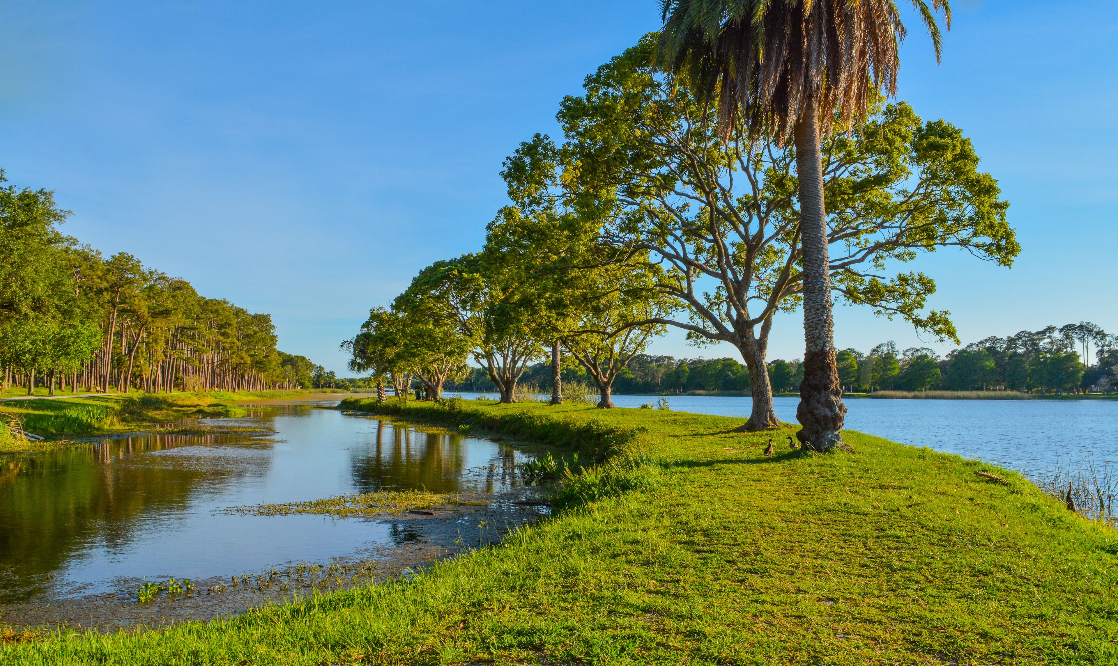 A beautiful day for a walk and the view of the island at John S. Taylor Park in Largo, Florida.