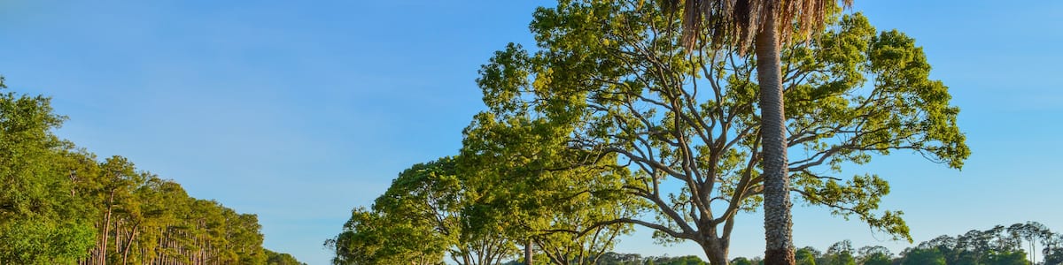 A beautiful day for a walk and the view of the island at John S. Taylor Park in Largo, Florida.
