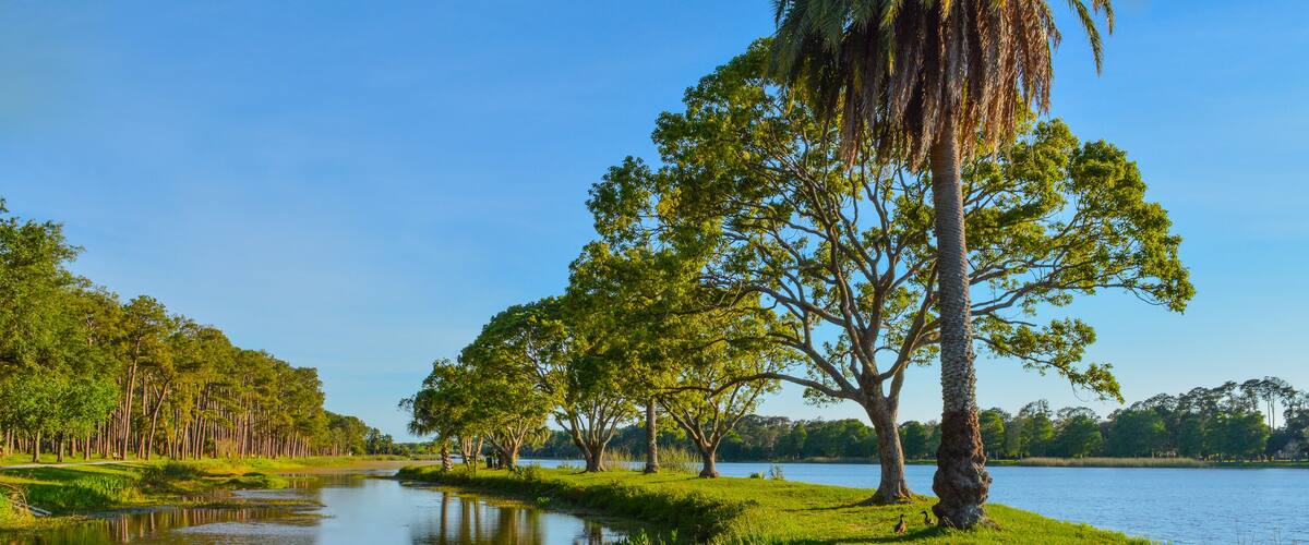 A beautiful day for a walk and the view of the island at John S. Taylor Park in Largo, Florida.