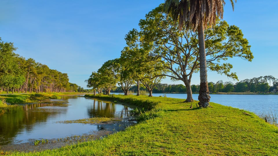 A serene lakeside landscape with lush greenery, a calm water body, and tall trees.