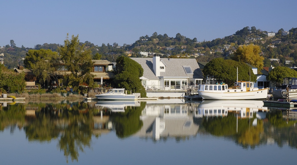 Nice houses with boats are reflected in calm waters of Corte Madera Creek in Larkspur, California