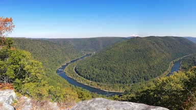 New River Gorge National Park from Grandview Overlook
