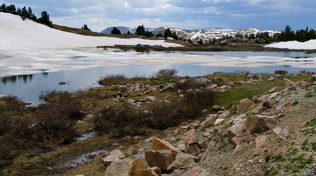 Shoshone National Park