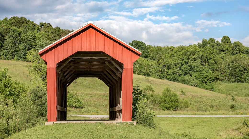 Manchester Bridge Over Olive Green Creek - Built in 1915, Manchester Covered Bridge crosses Olive Green Creek in rural Noble County, Ohio.