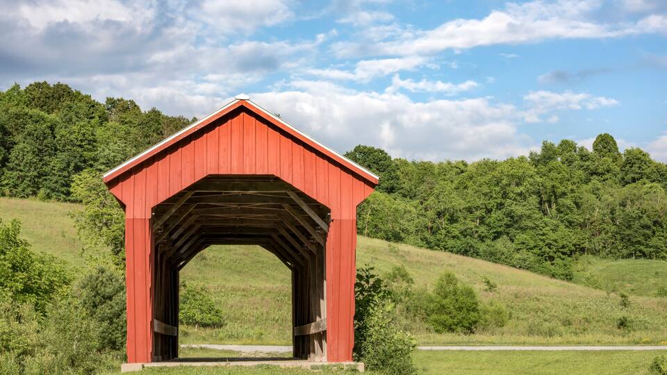 A red covered bridge in a green landscape.
