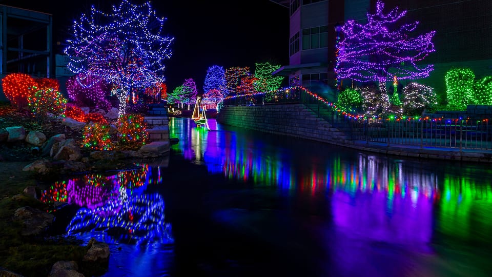 A nighttime scene with illuminated trees and a reflective waterway.