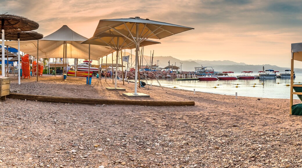 ์ฐ๋งํํธ ์ ์
ฐ์ดํฌ ์ฌ