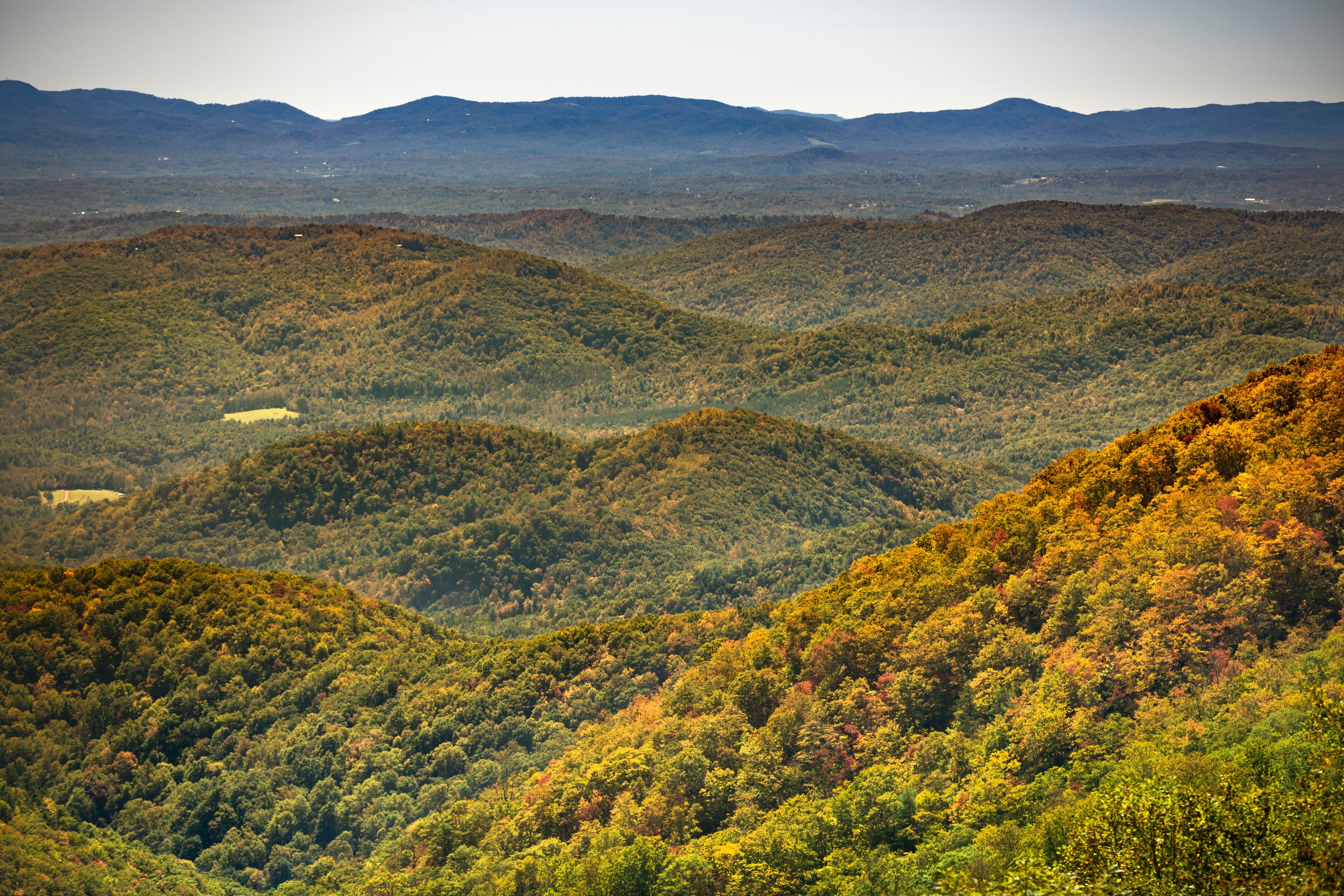 Tree covered hills of the Blue Ridge Mountains in North Carolina USA