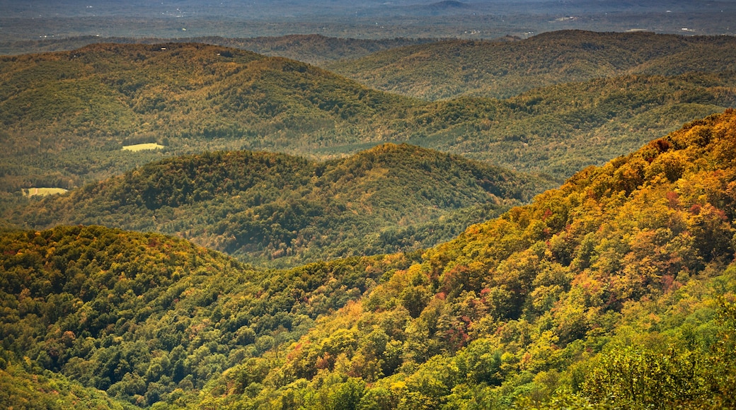 Tree covered hills of the Blue Ridge Mountains in North Carolina USA