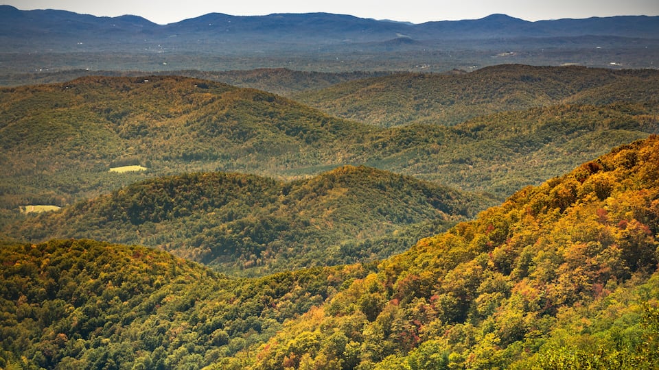 A mountainous landscape with dense forests and rolling hills.