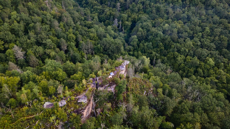 A dense forest with a rocky outcrop and a small building.