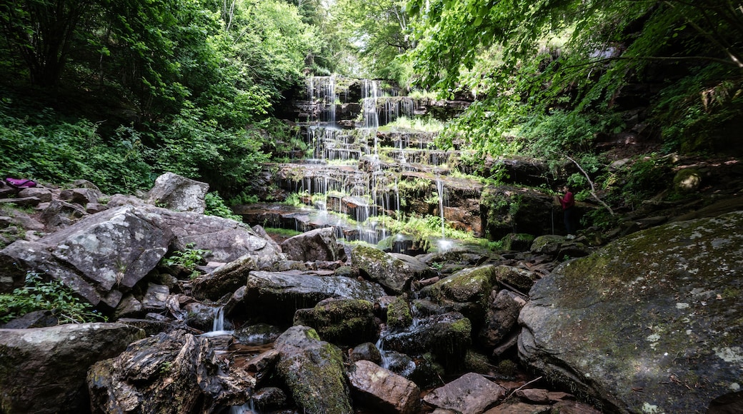 Elakala falls cascading down mossy rocks in the blackwater falls state park, west virginia
