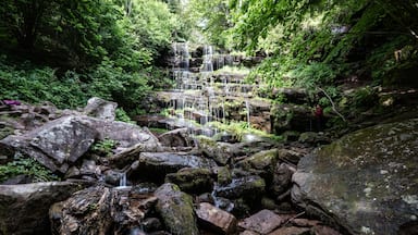 Elakala falls cascading down mossy rocks in the blackwater falls state park, west virginia