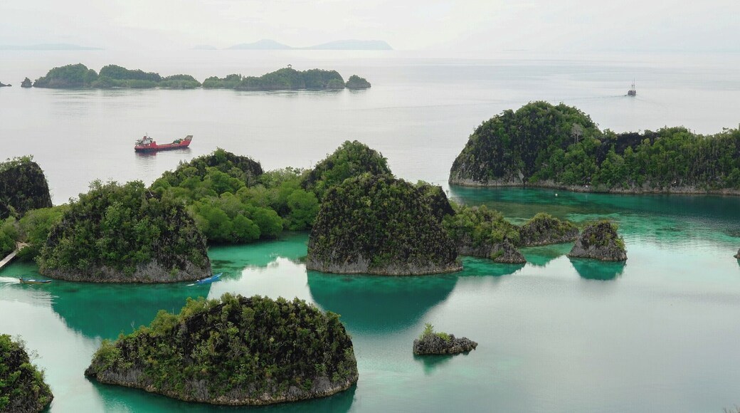 Bentangalam Kars of Painemu. Formation of Kars landscape influenced by dissolution and geological structures. These amazing little islands are a must see when touring Raja Ampat. #LifeAtExpedia