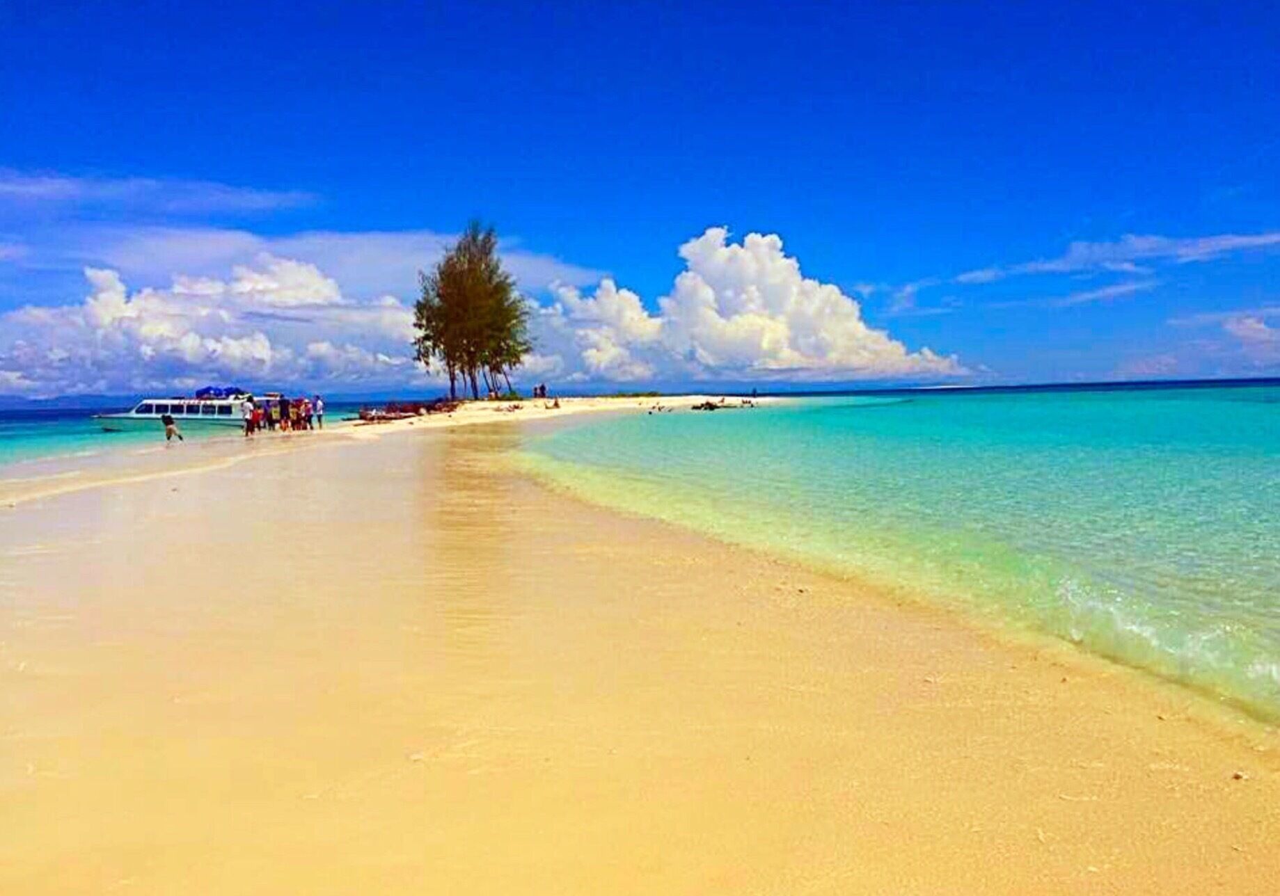 A beach with clear turquoise water, a sandy shore, and a few palm trees.