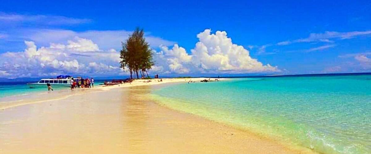 A beach with clear turquoise water, a sandy shore, and a few palm trees.