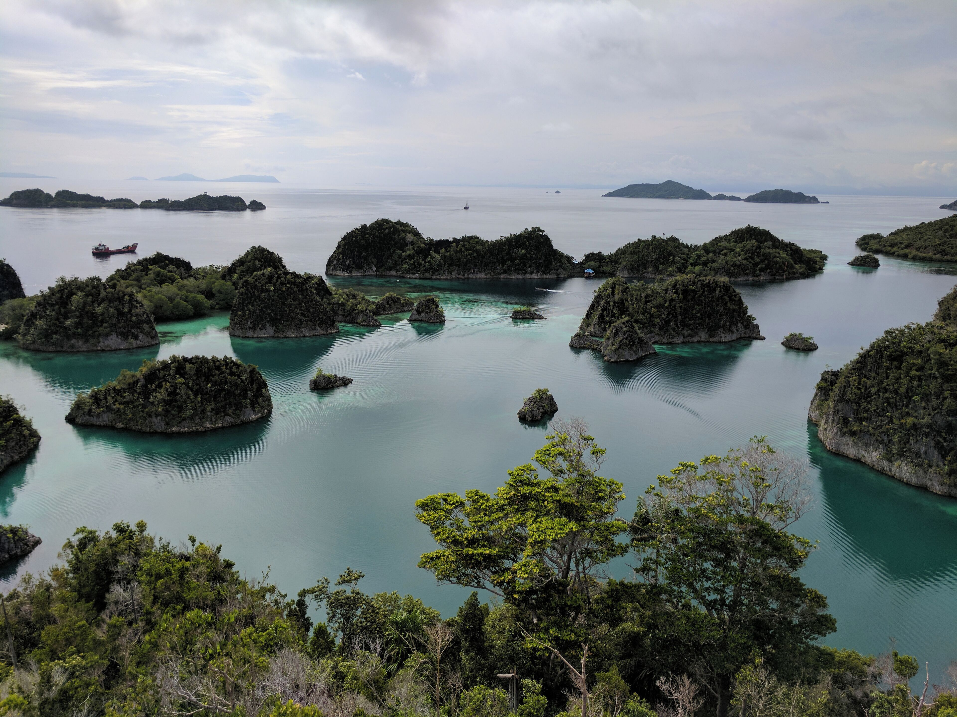 Raja Ampat is a beautiful part of West Papua. Wayag especially is stunning but every view and location was great 
Diving was so diverse with both hard and soft corals, tropical fish, big fish etc. we had gentle dives and strong current in places too.  #LifeAtExpedia