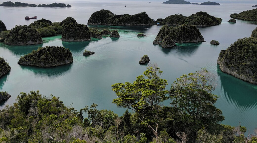 Raja Ampat is a beautiful part of West Papua. Wayag especially is stunning but every view and location was great
Diving was so diverse with both hard and soft corals, tropical fish, big fish etc. we had gentle dives and strong current in places too. #LifeAtExpedia