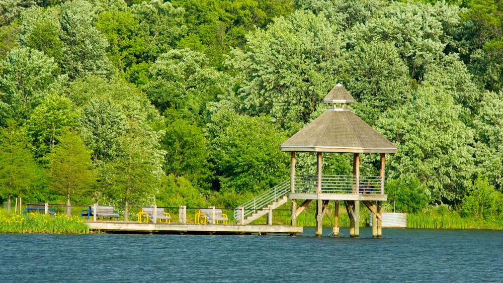 Boardwalk in Lake Artemesia, College Park, MD