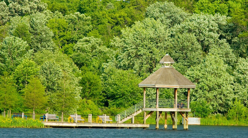 Boardwalk in Lake Artemesia, College Park, MD