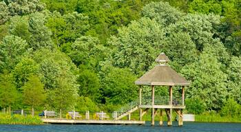 A wooden gazebo on a pier surrounded by lush greenery and a calm lake.