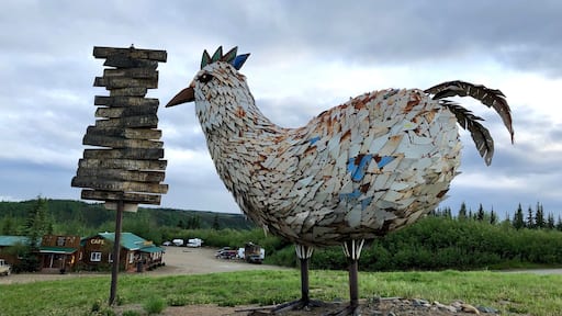 Only in Chicken, Alaska are you greeted with a giant chicken. Pretty cool gold camp.