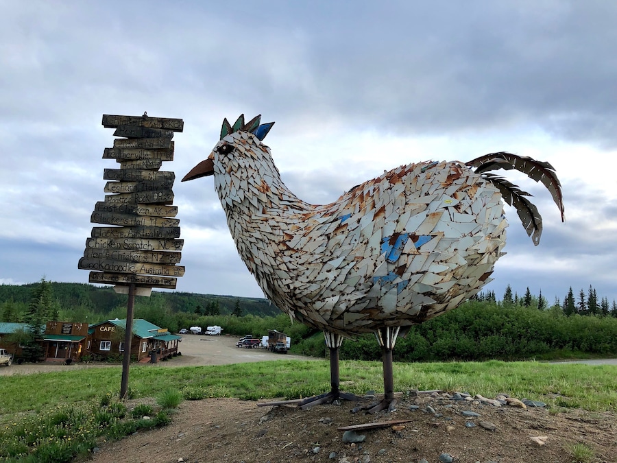 Only in Chicken, Alaska are you greeted with a giant chicken. Pretty cool gold camp.