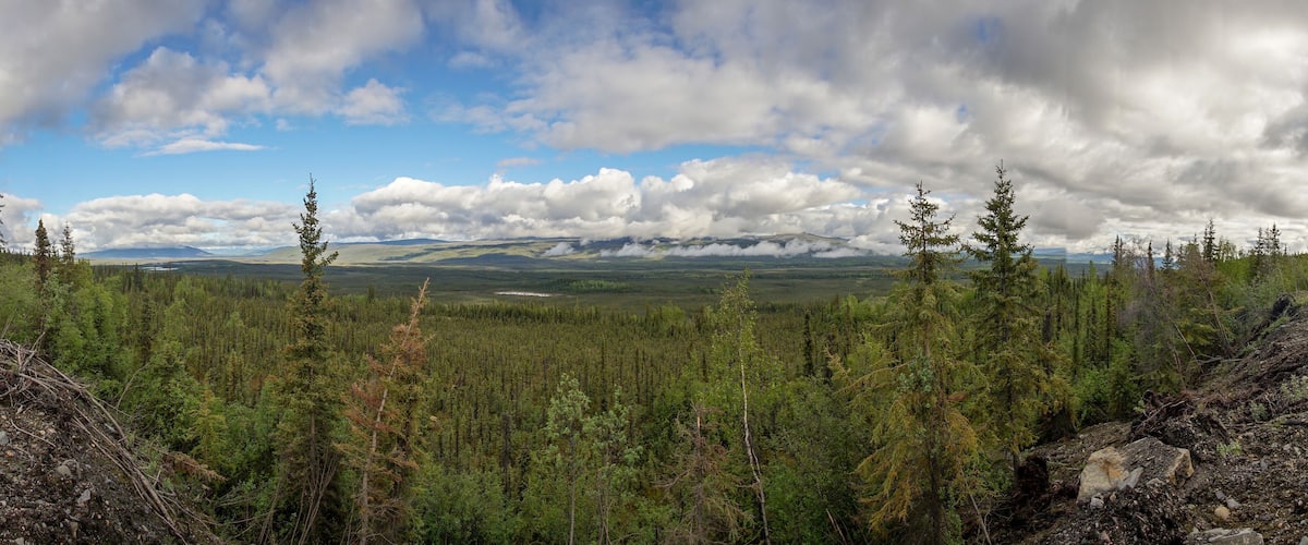 A dense forest with a mountain range in the distance under a partly cloudy sky.