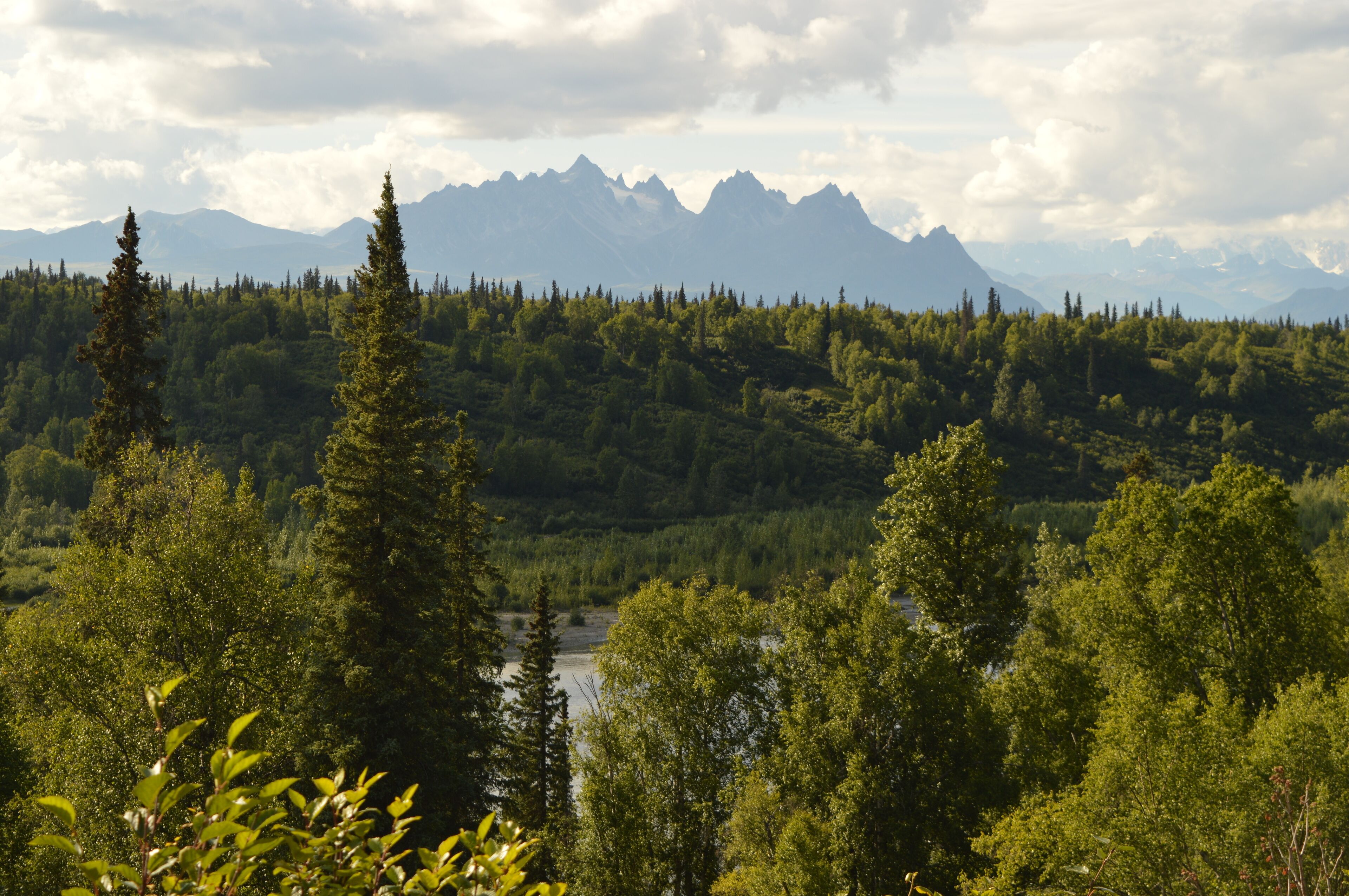 Road tripping and hiking in Northern Alaska and the Town of Chicken - USA