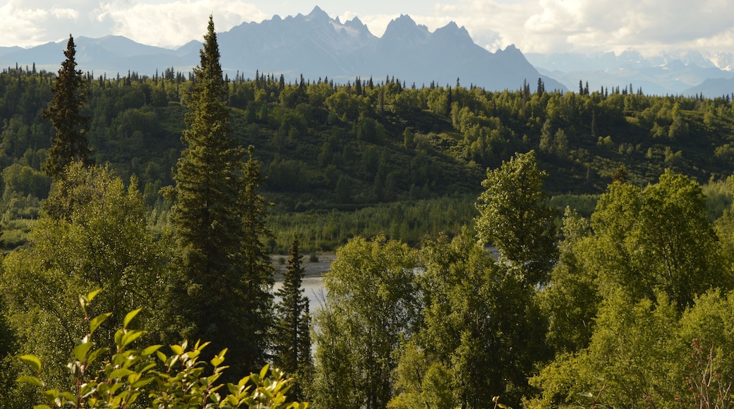 Road tripping and hiking in Northern Alaska and the Town of Chicken - USA