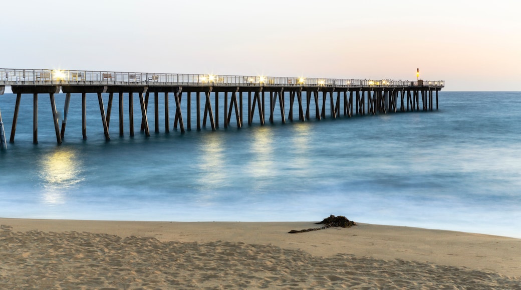 Pier de Hermosa Beach _ California