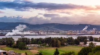 Um grande complexo industrial com uma ponte sobre um rio, rodeado por colinas e um céu nublado.