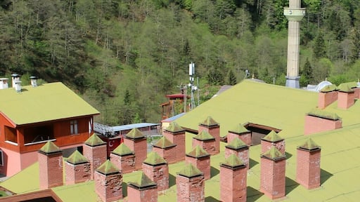 Ayder, Çamlıhemşin, Rize, Turkey
#patterns #Ayder #camlihemsin #rize #turkey