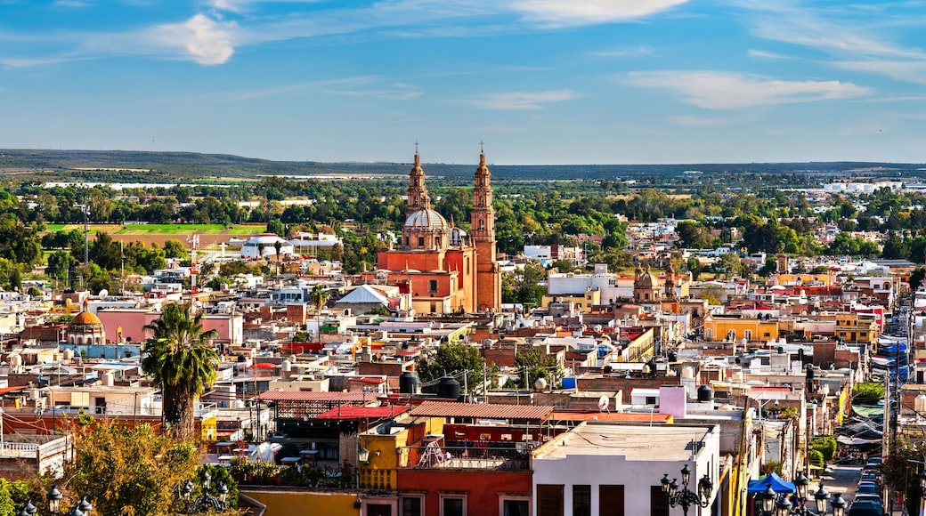 Skyline of Lagos de Moreno town in Jalisco. UNESCO world heritage in Mexico