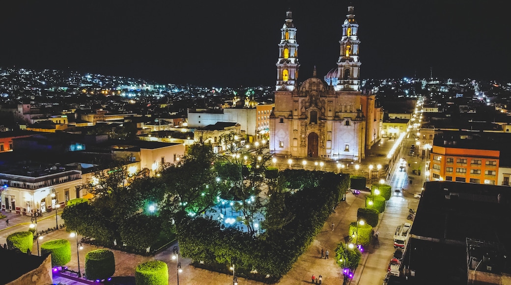 Lagos de Moreno night view