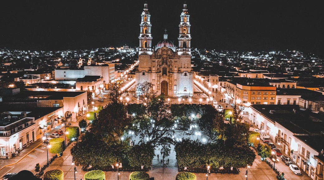 Lagos de Moreno View. Jalisco, Mexico
