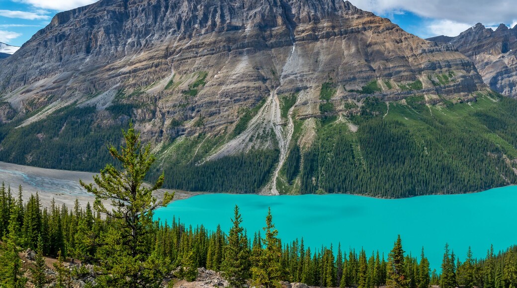 Distrito del Centro Banff