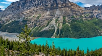 Distrito del Centro Banff