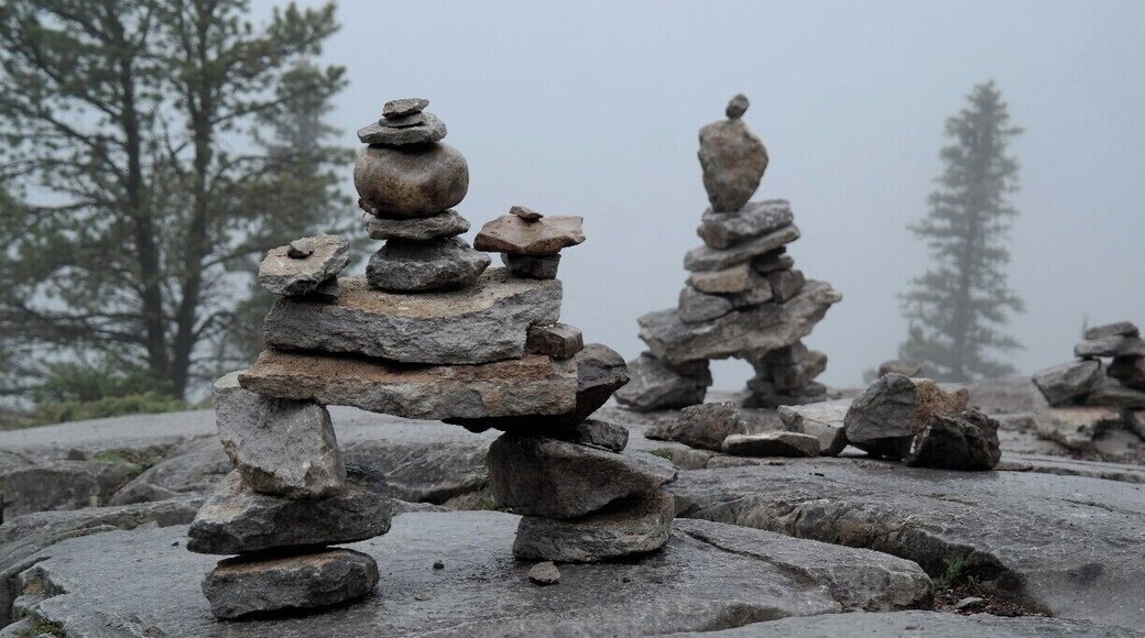 Near the top of Tunnel Mountain, you'll find these mini rock statues that people have put together for fun! Usually, you will have a fantastic view from the top of the town of Banff, but we encountered a lot of mist that afternoon. The trail is a little over 1.5km and is not difficult at all.