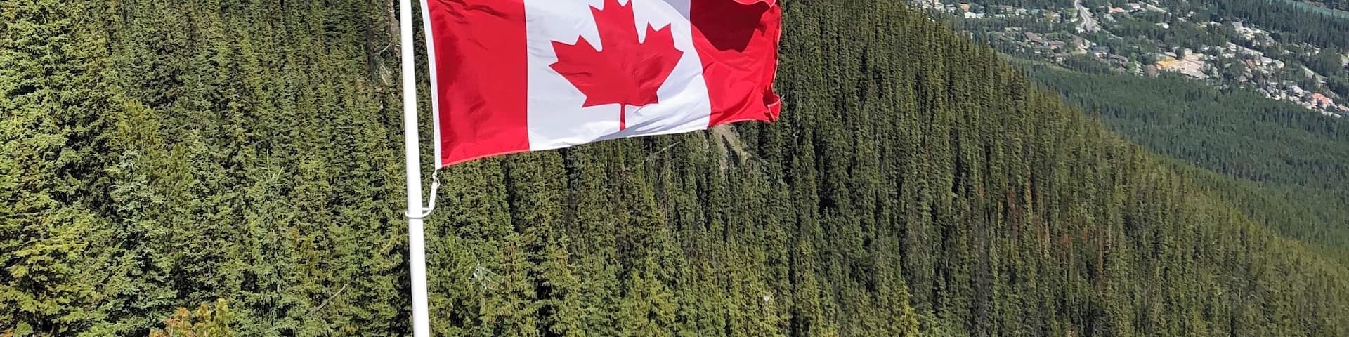 View of the town of Banff from the top of Sulfur Mountain!
#townofbanff #canada #banffgondola #beautifulviews