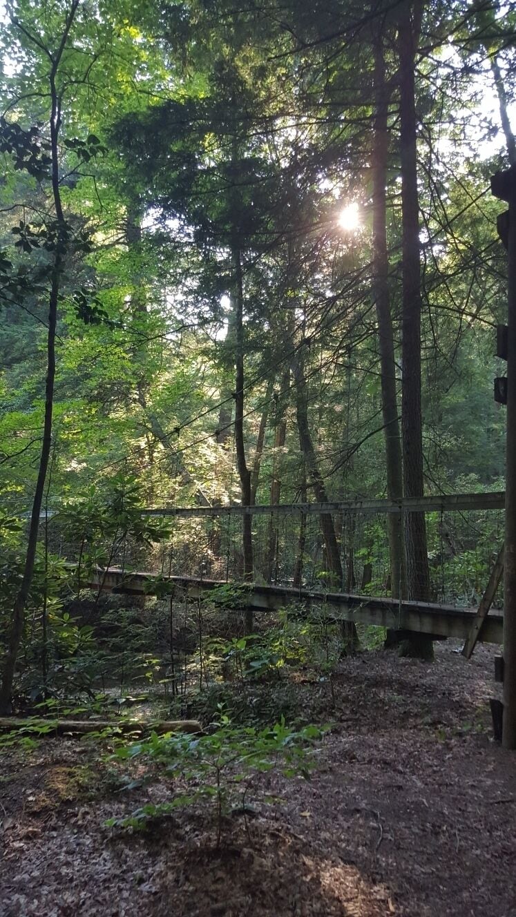 Nestled away in the backwoods of London, KY is where you'll find this gem. On the Sheltowee Trail... #TakeAHike