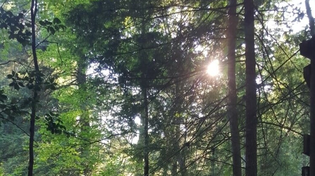 Nestled away in the backwoods of London, KY is where you'll find this gem. On the Sheltowee Trail... #TakeAHike