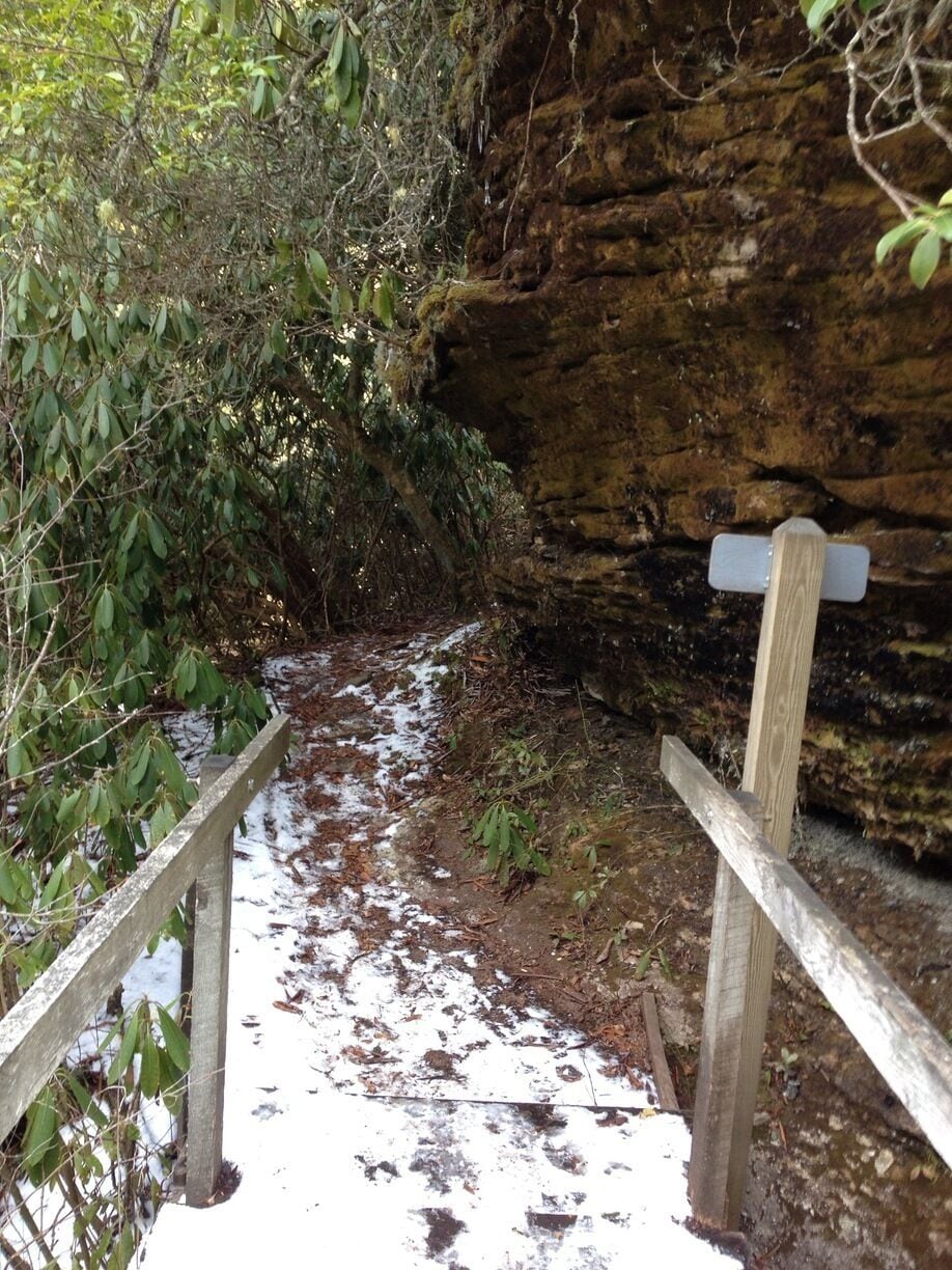 This is the Vanhook Falls section of the Sheltowee Trace Trail that runs through Kentucky.  It's a 2.7 mile hike to the falls and this trail has it all. It's one of my favorite hikes.  