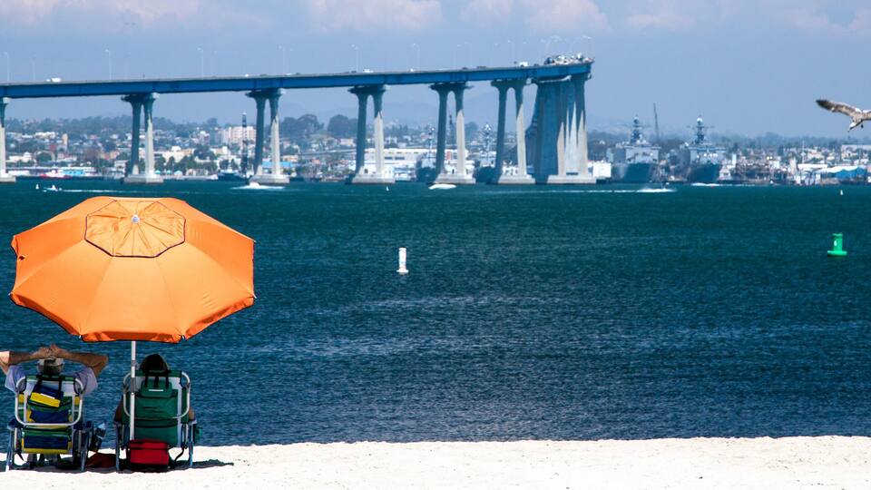Chillaxin' (Banner)