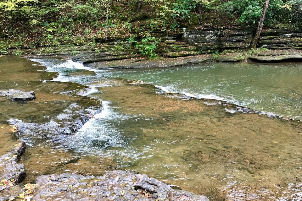A clear stream flowing over rocks with surrounding dense forest.