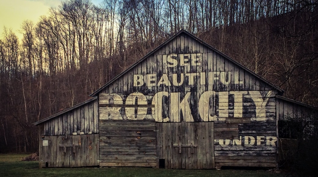 A dying breed of advertisement but still cool when you finally see one....